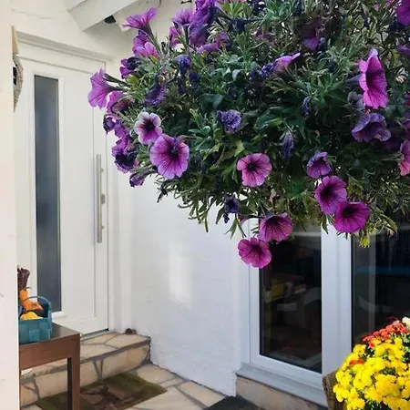 Traumhafte Maisonette-Wohnung Im Schwarzwald Freudenstadt Exterior foto