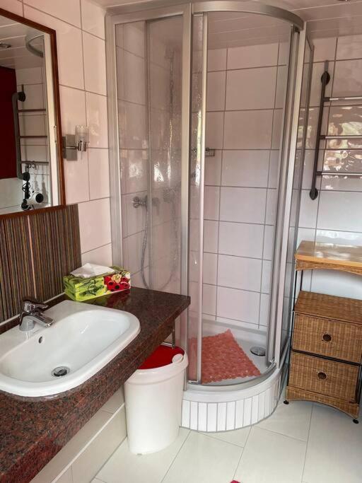 Apartment Traumhafte Maisonette-wohnung Im Schwarzwald