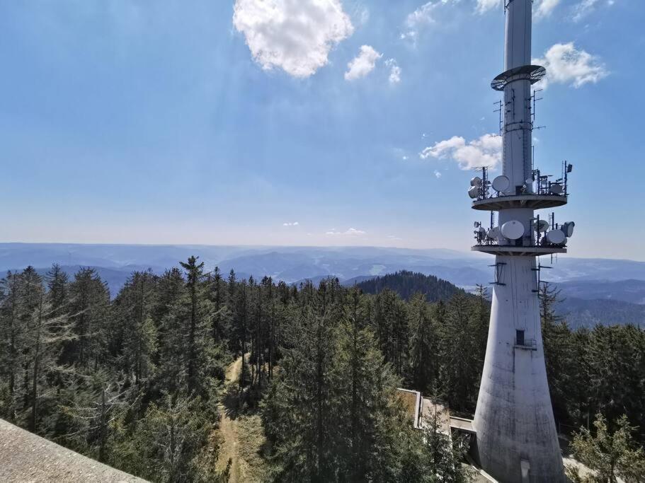 Traumhafte Maisonette-wohnung Im Schwarzwald Apartment *