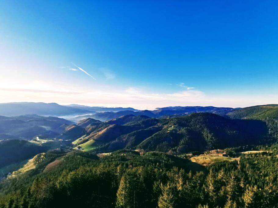 Traumhafte Maisonette-wohnung Im Schwarzwald Apartment