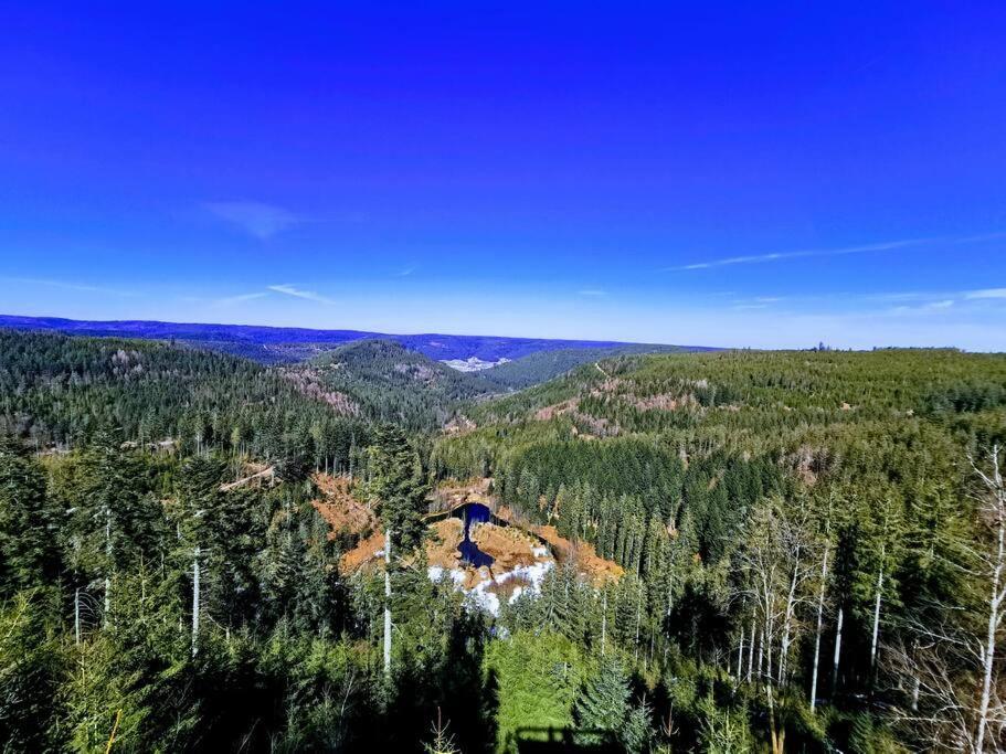 Apartment Traumhafte Maisonette-wohnung Im Schwarzwald *