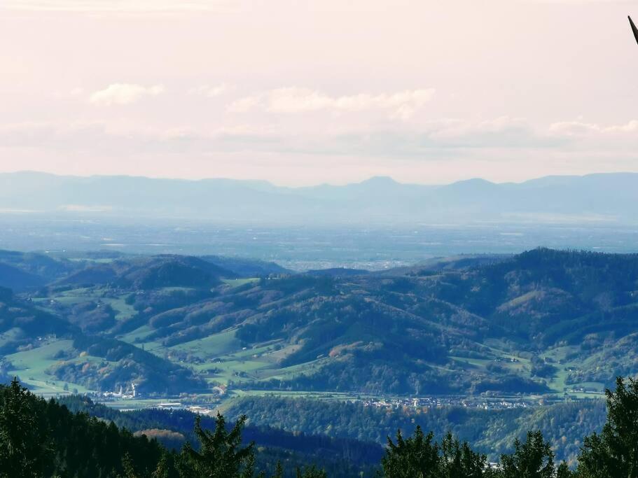 Apartment Traumhafte Maisonette-wohnung Im Schwarzwald Freudenstadt